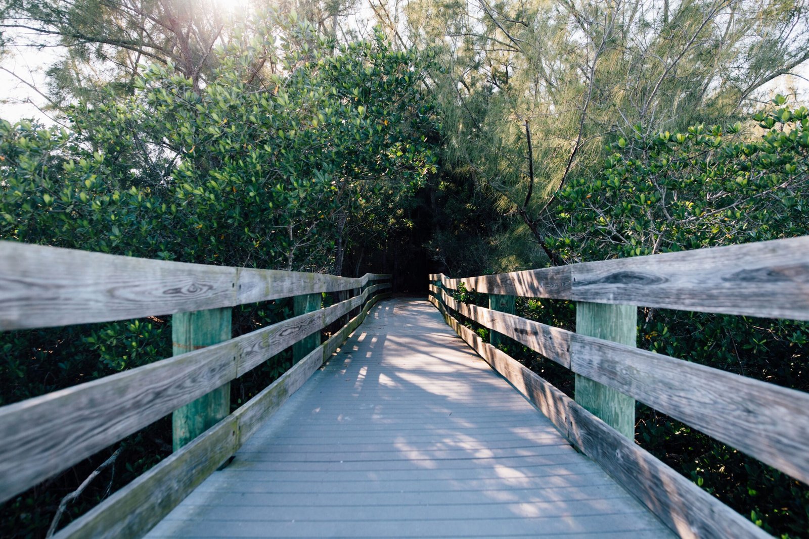 Take a Stroll at the Space Coast Greenway