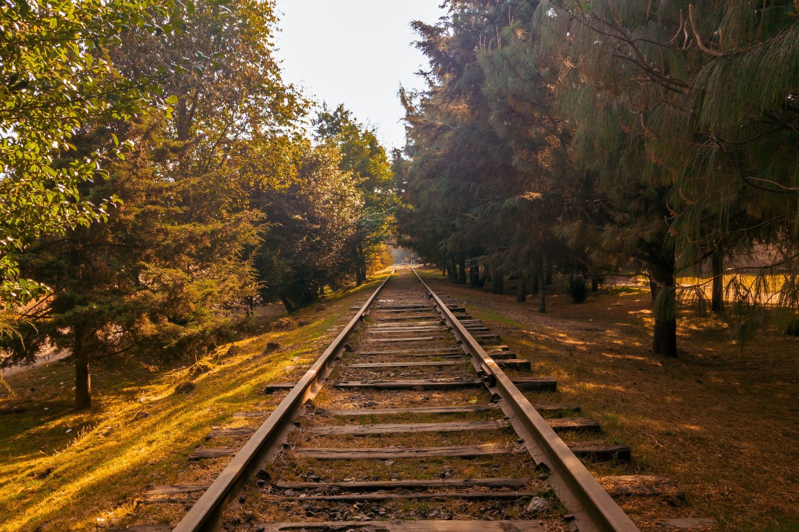 Explore the remnants of the old railway at the Parque de la Fraternidad