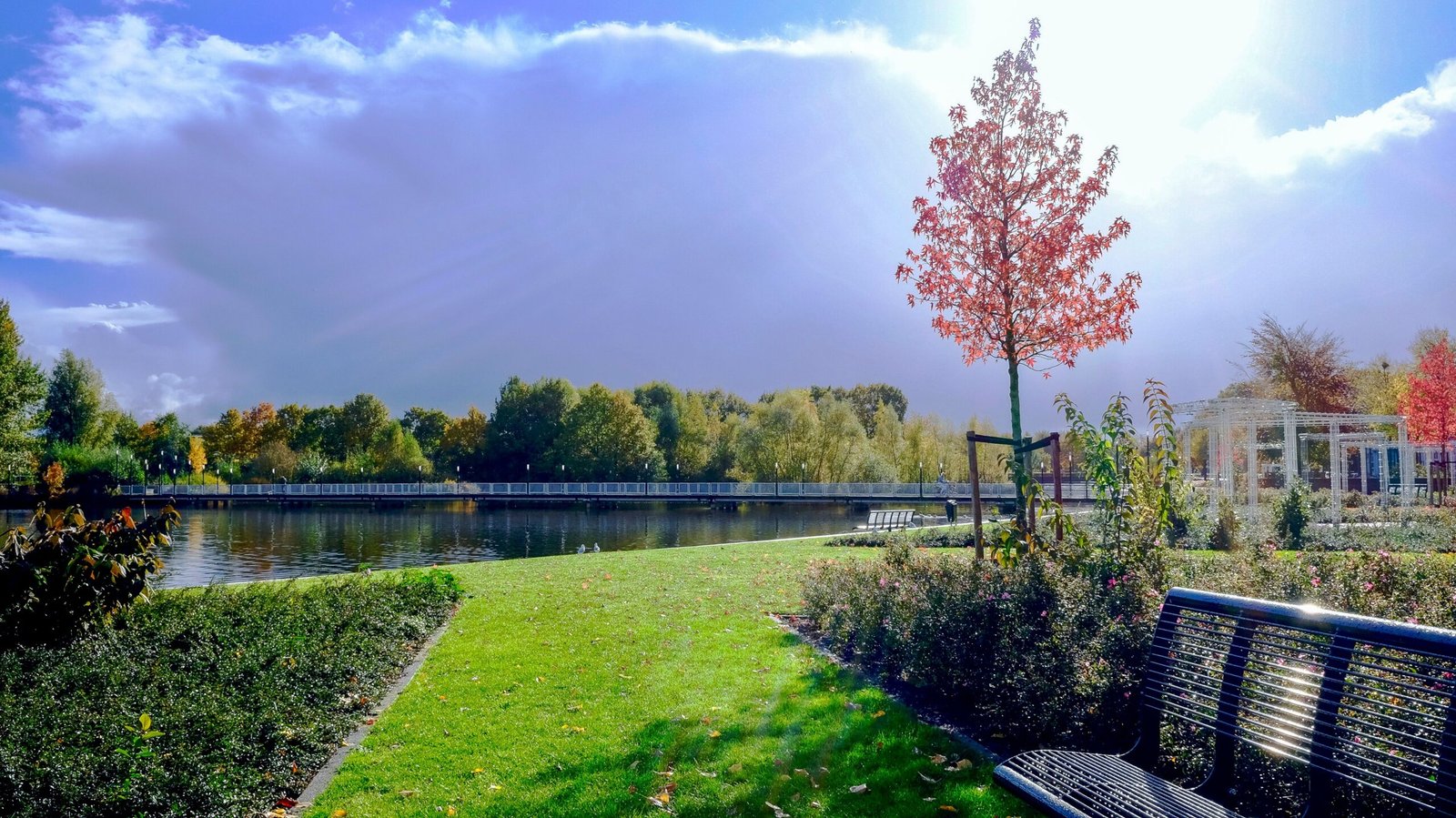 Enjoy a Picnic at Lake James State Park