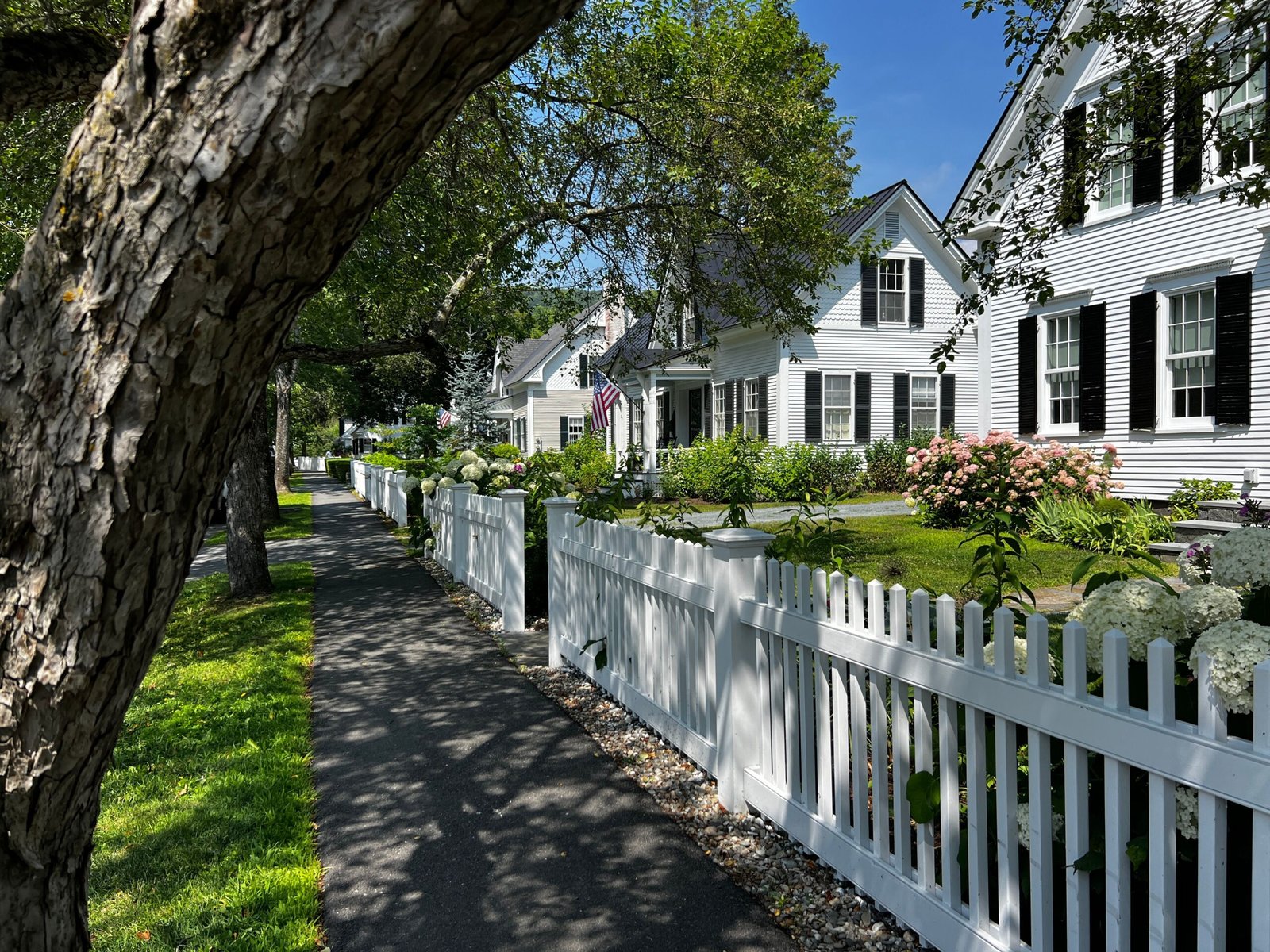 Take a guided tour of the historic Chattanooga downtown area