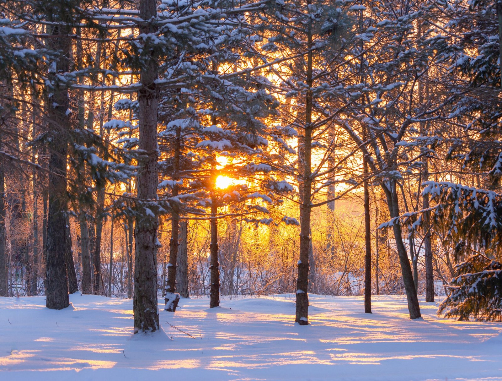 Attend the Annual Fish Creek Winter Festival