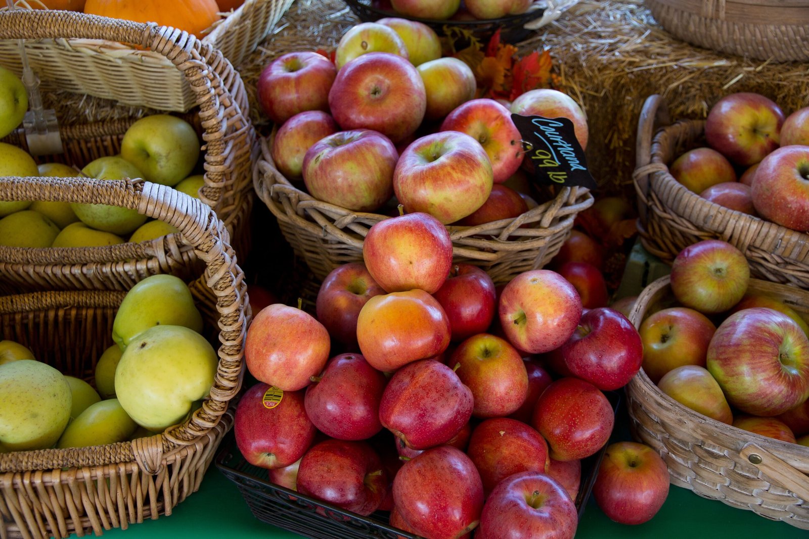 Attend the Annual Georgia Apple Festival in October