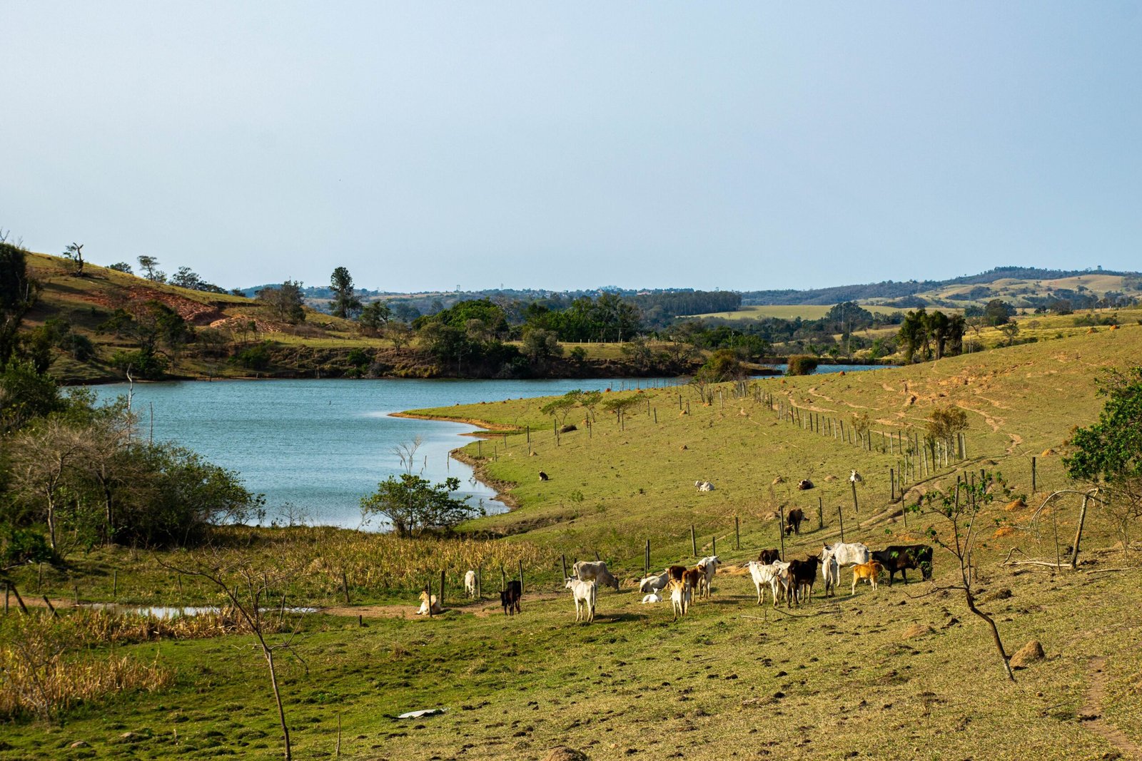 Visit Nearby Homesteads to See the Local Farmland and Ranching History