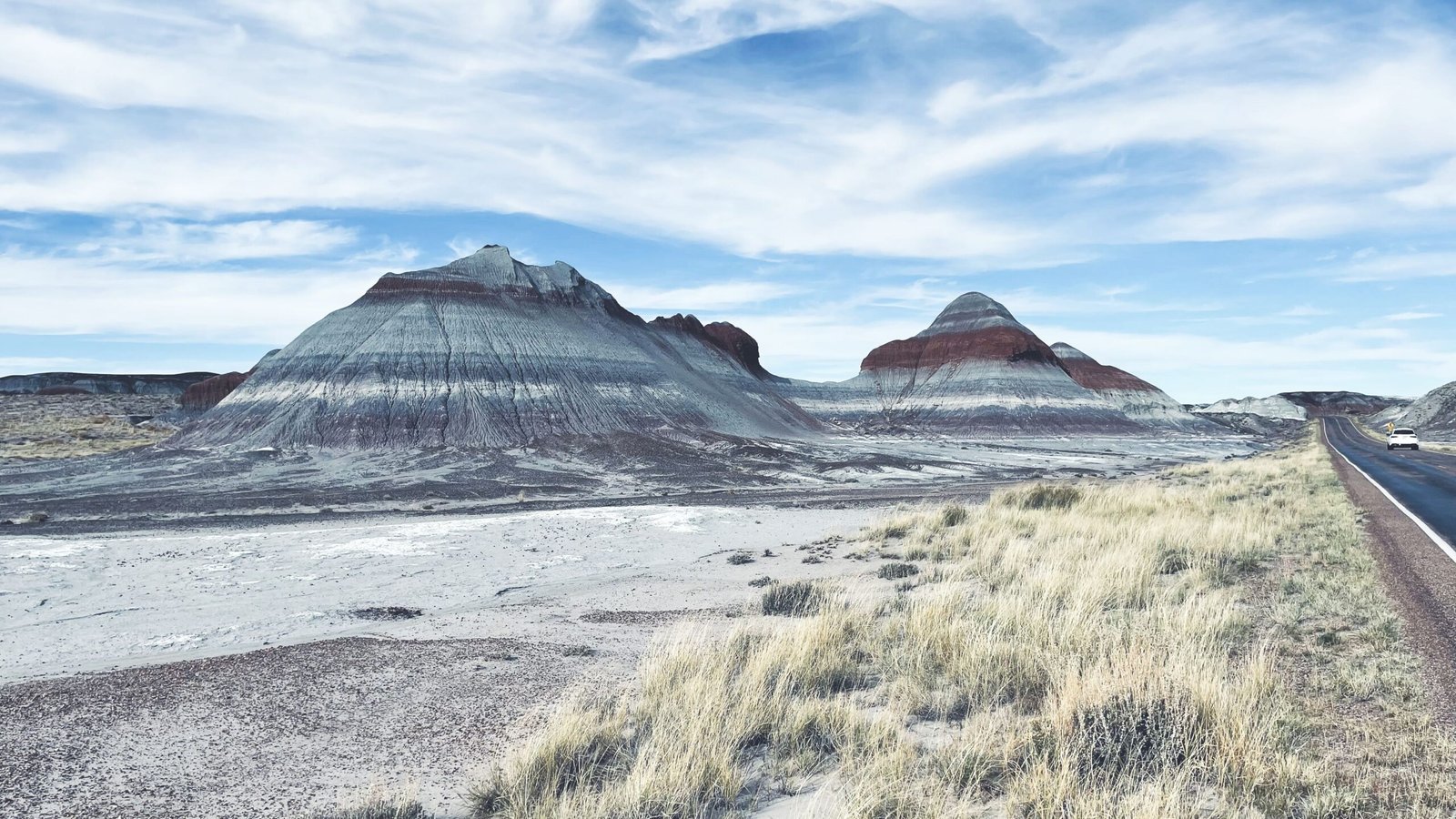 Explore the Petrified Forest National Park