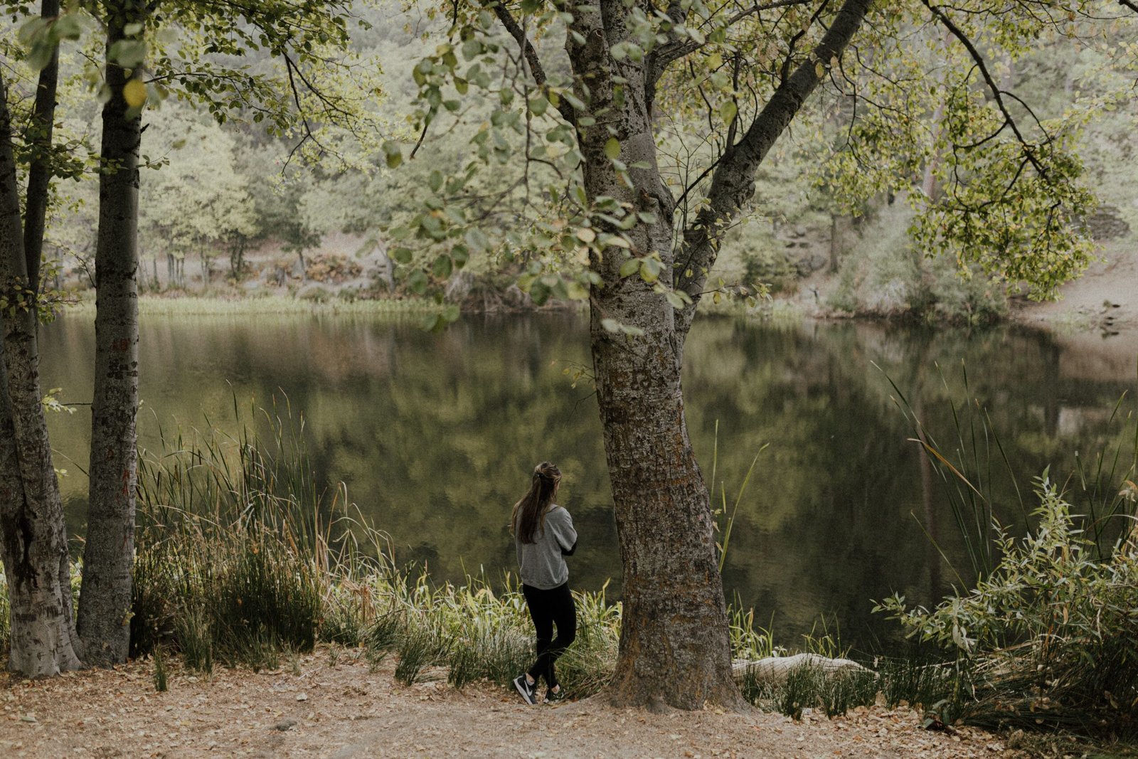 Take a Stroll at the Beautiful Flanders Nature Center & Land Trust