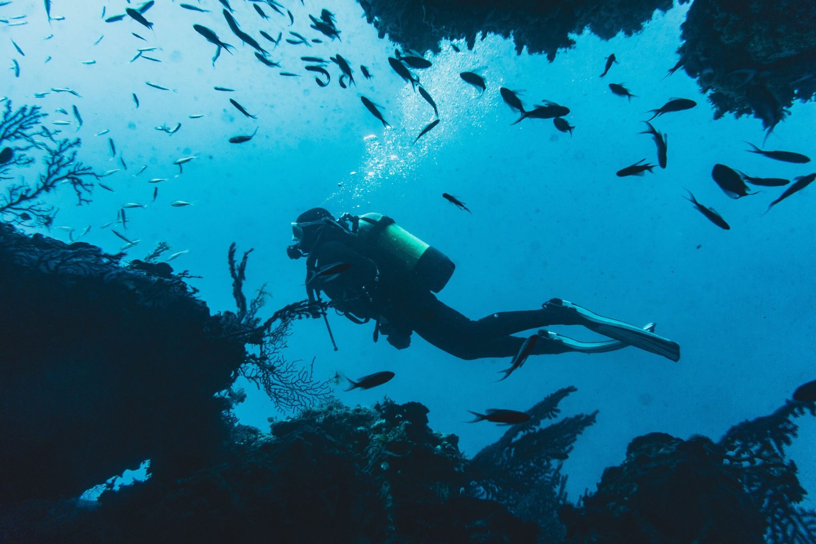 Explore the Underwater World While Scuba Diving with Negril Scuba Centre
