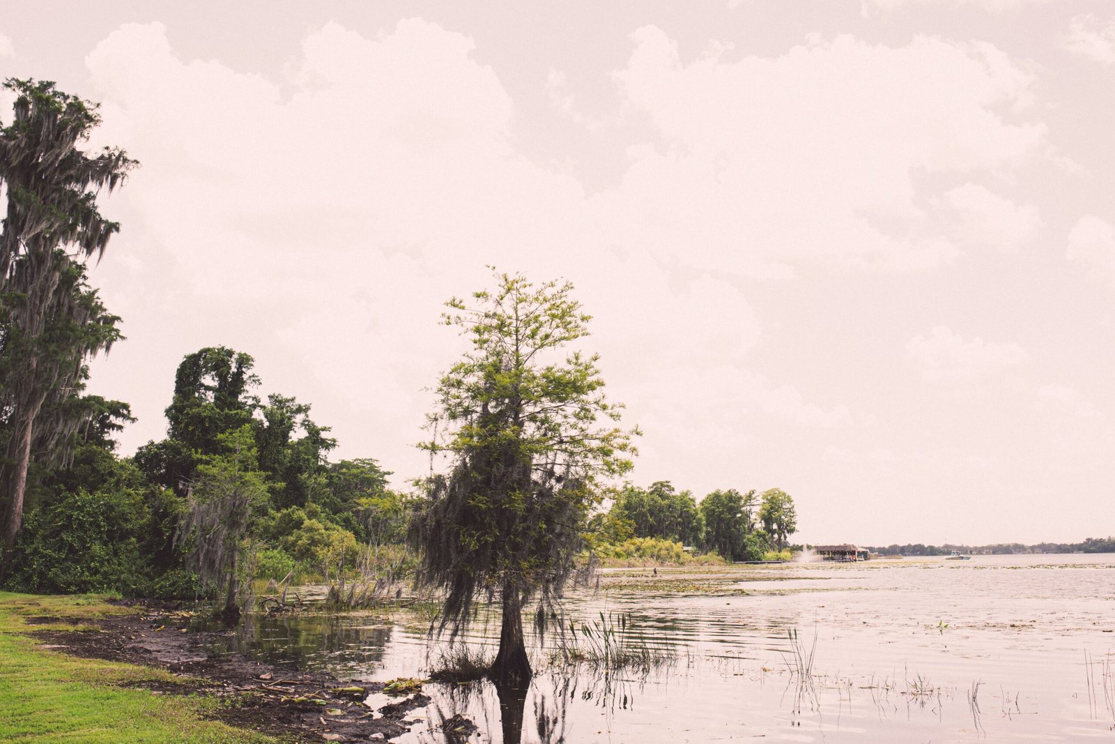 Explore the scenic Chain of Lakes via Cypress Gardens