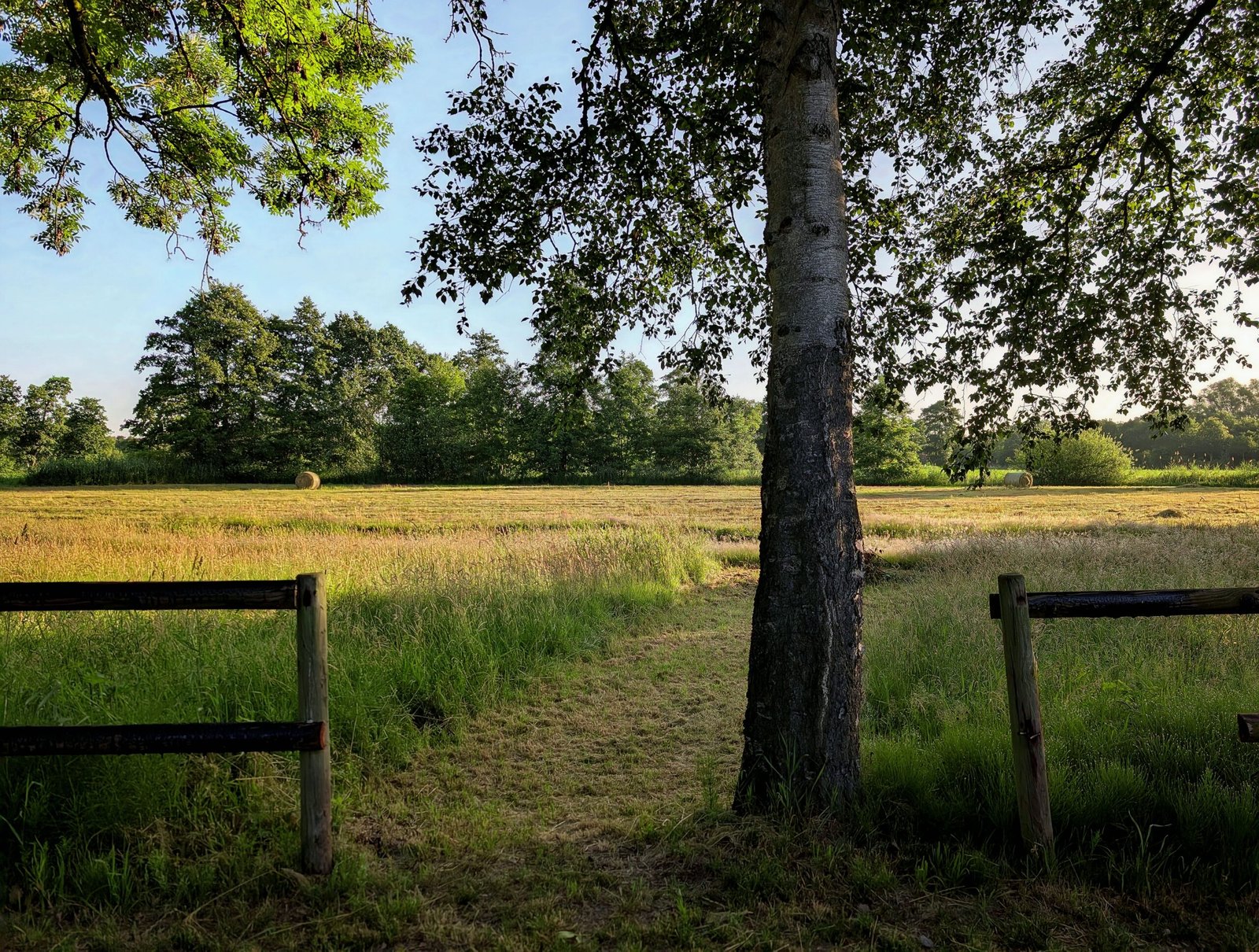 Explore the scenic trails at Long Barn Farm