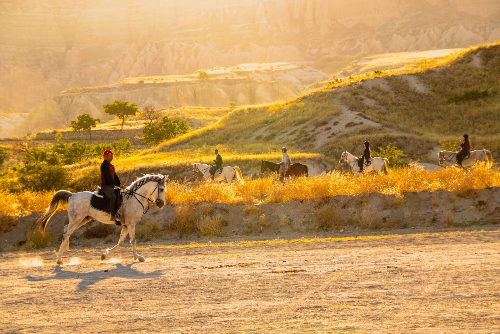 Go Horseback Riding Through the Beautiful Countryside