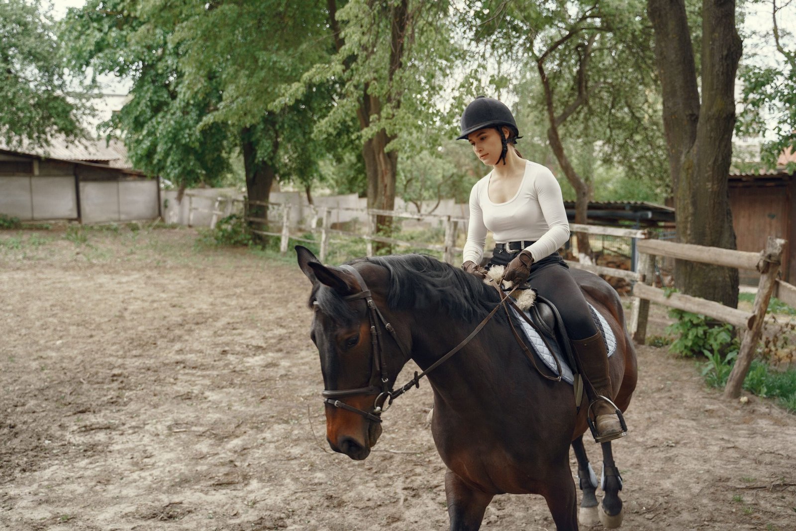 Go Horseback Riding at the Local Stables and Ranches