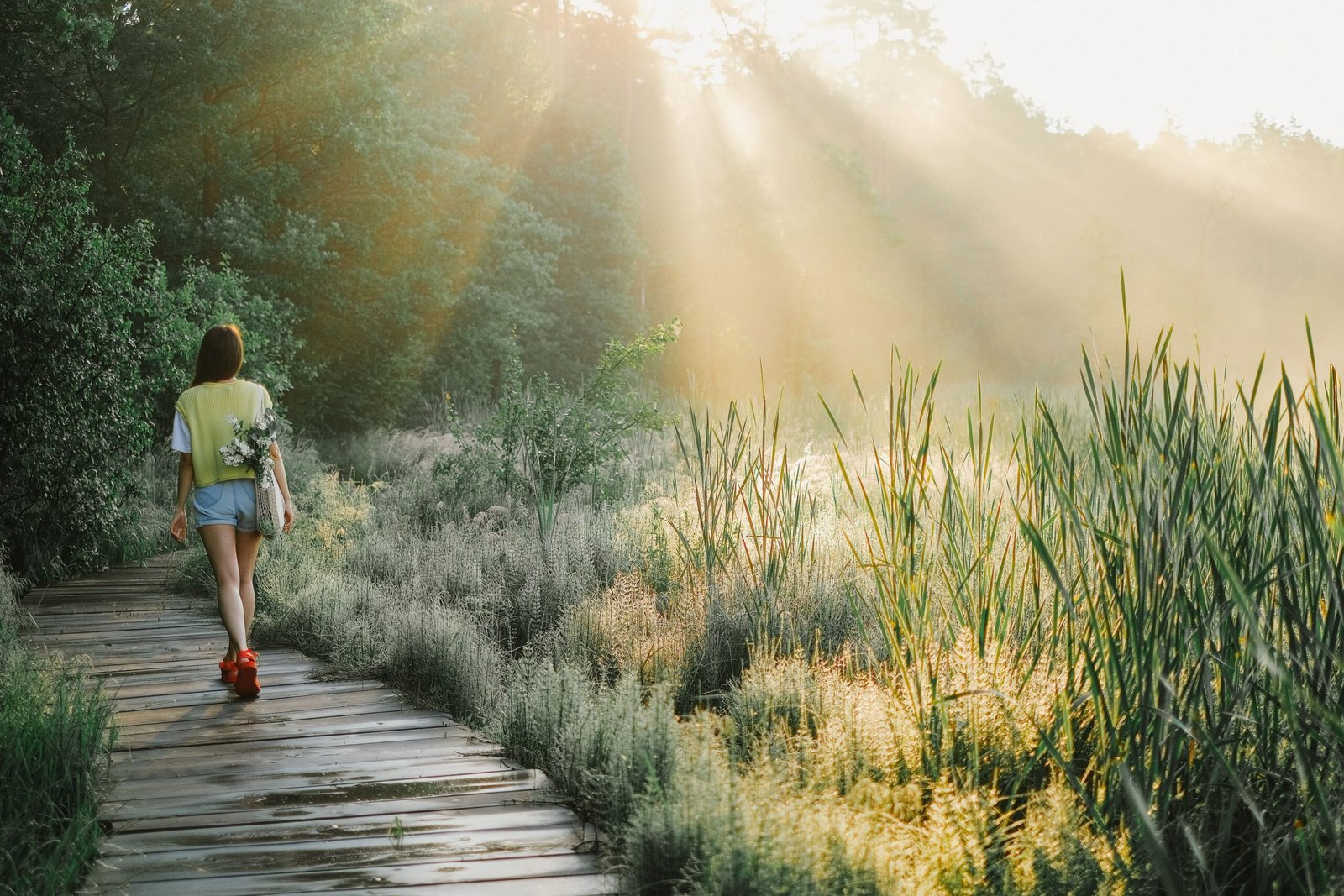 Go on a Nature Walk at Highbanks Metro Park