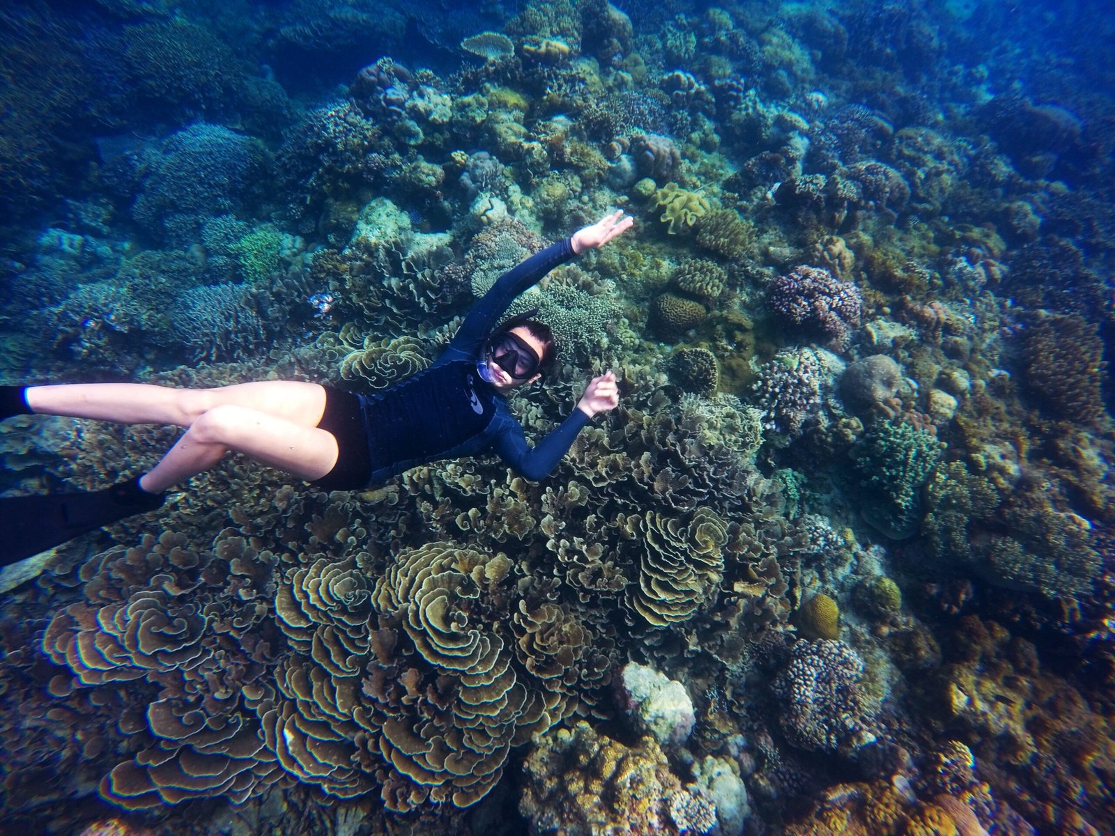Go snorkeling in the vibrant coral reefs at Bahia Honda State Park