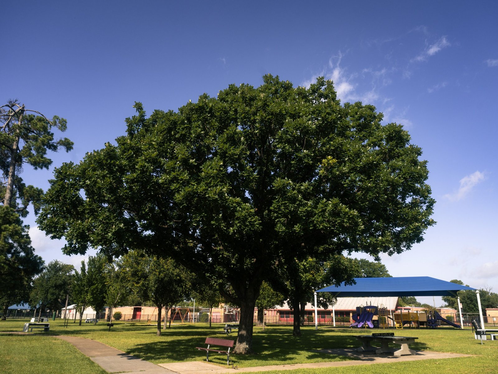 Enjoy a Picnic at the Scenic Lynch Field Park