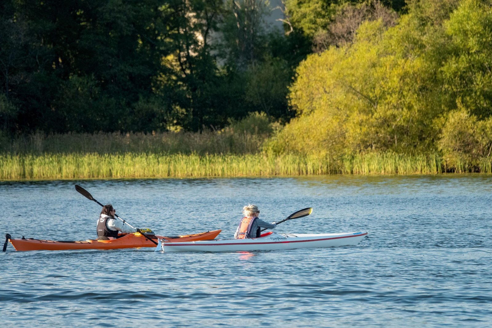 Stroll Along the Canal de l'Ourcq and Rent a Boat for a Relaxing Day on the Water