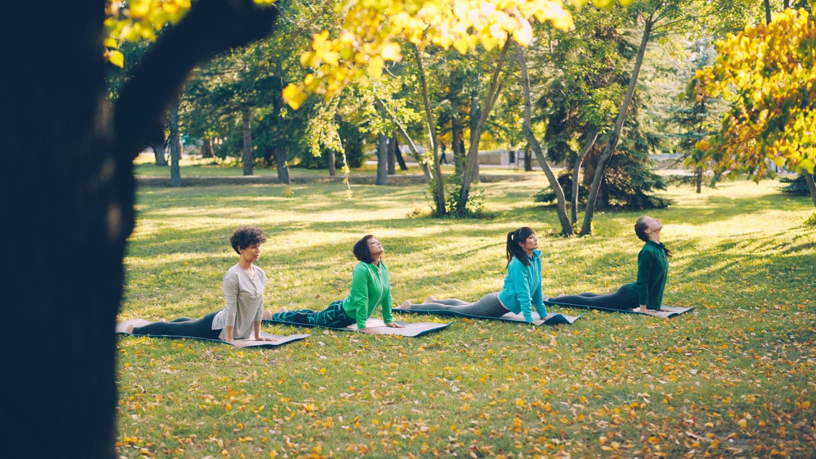Join a Yoga Class at the Wicker Park Yoga Studio