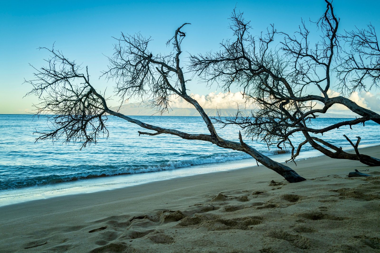 Relax on the Beautiful Kamaole Beach Park I