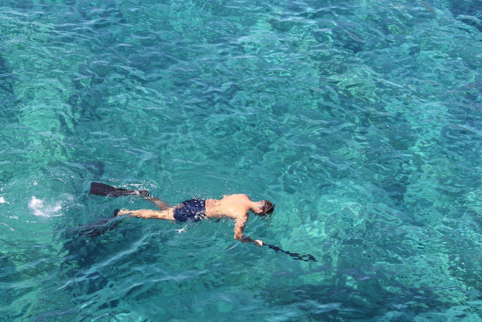 Go Snorkeling at the Jetties