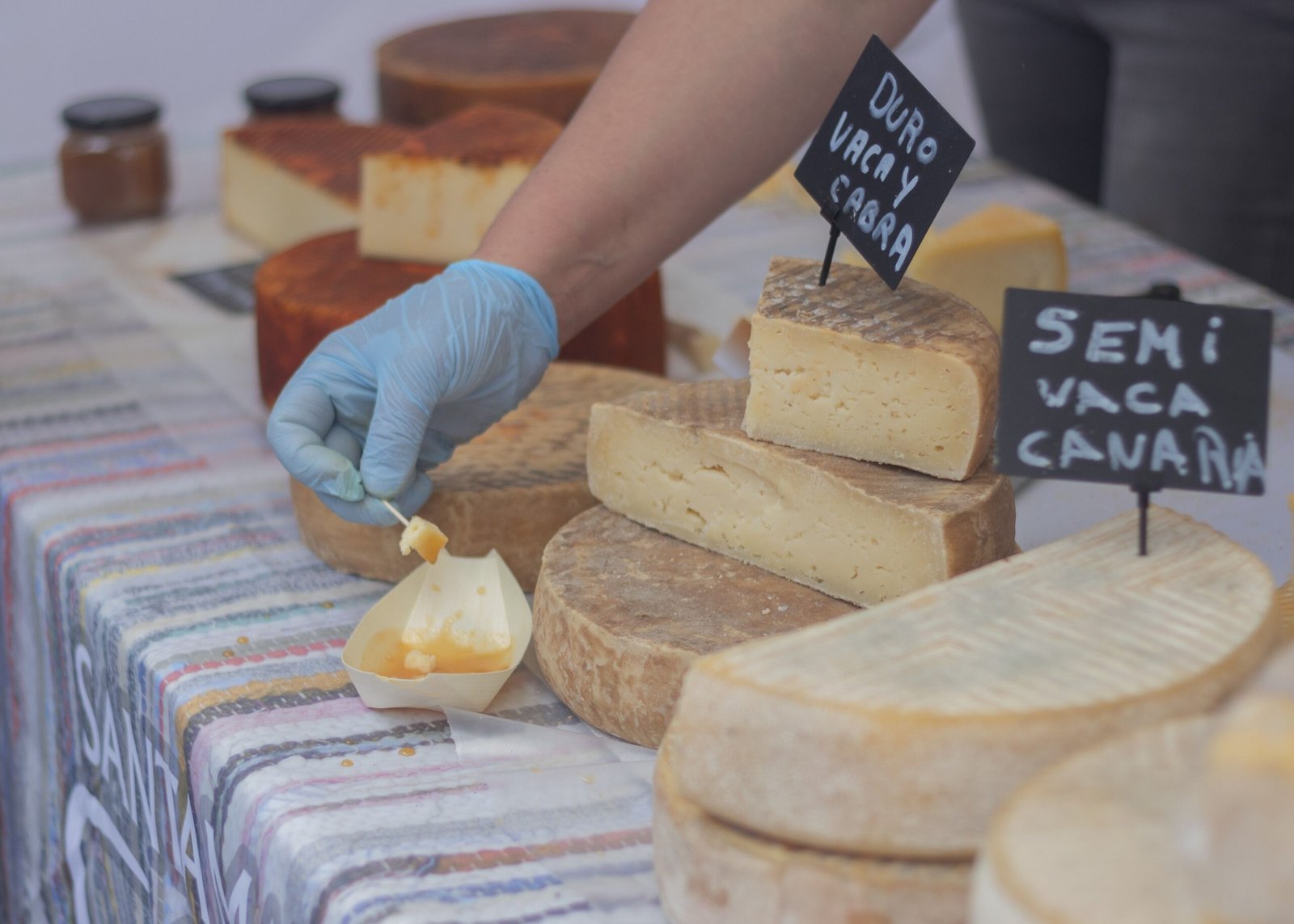 Sample Artisanal Cheeses at Sierra Nevada Cheese Company