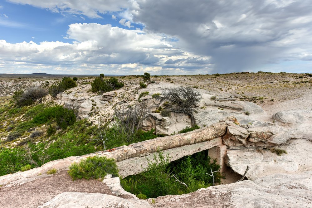 See the Stunning Rock Formations at the Agate Bridge