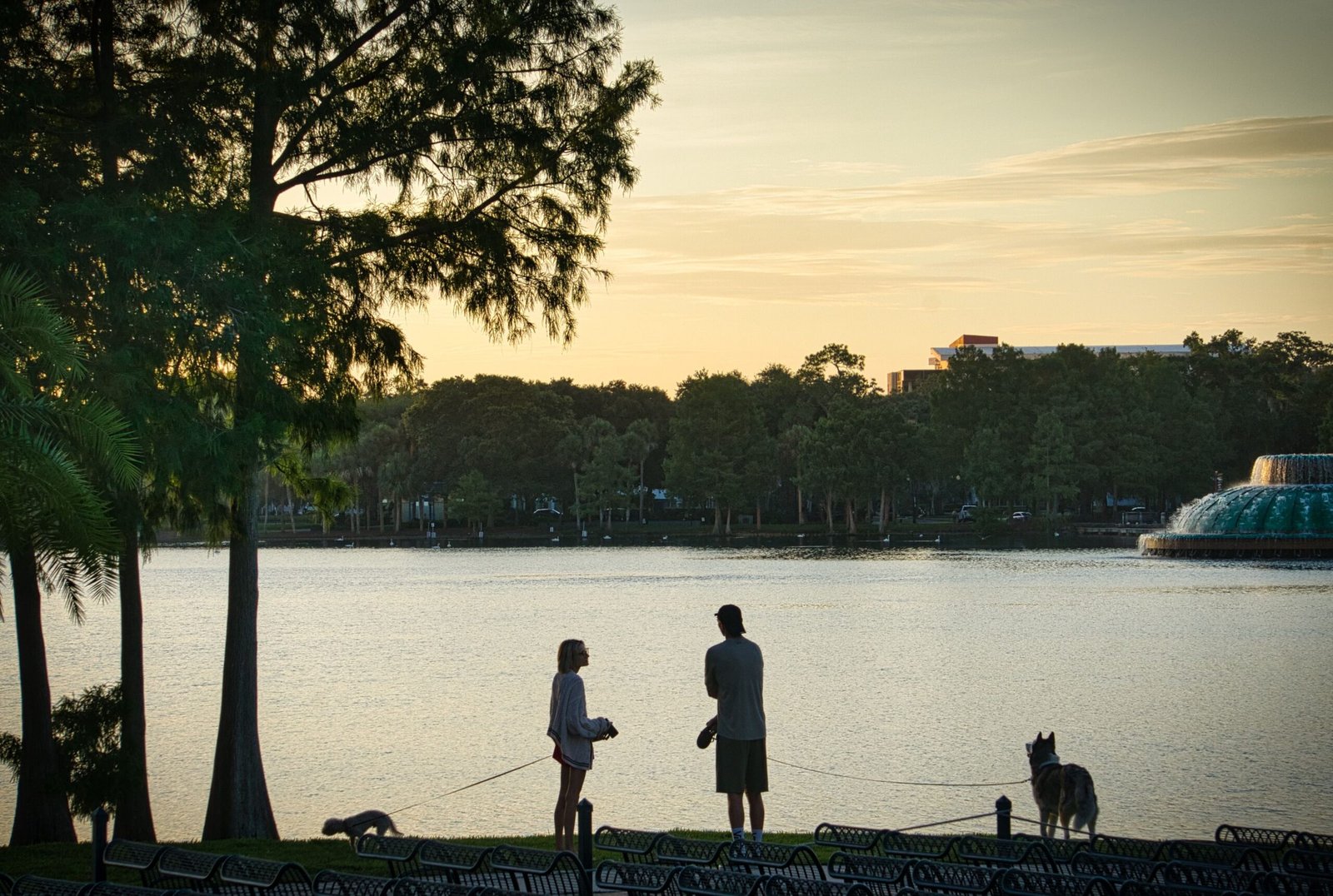 Discover the Wonders of Nature at Kissimmee River State Park