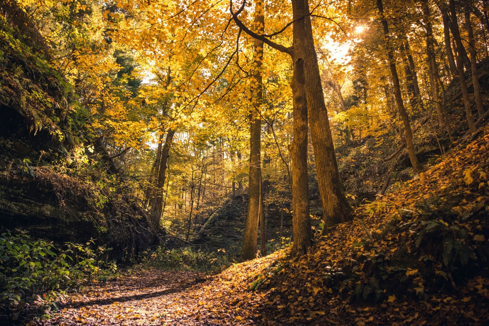 Go hiking on the many trails at the Bradner Preserve