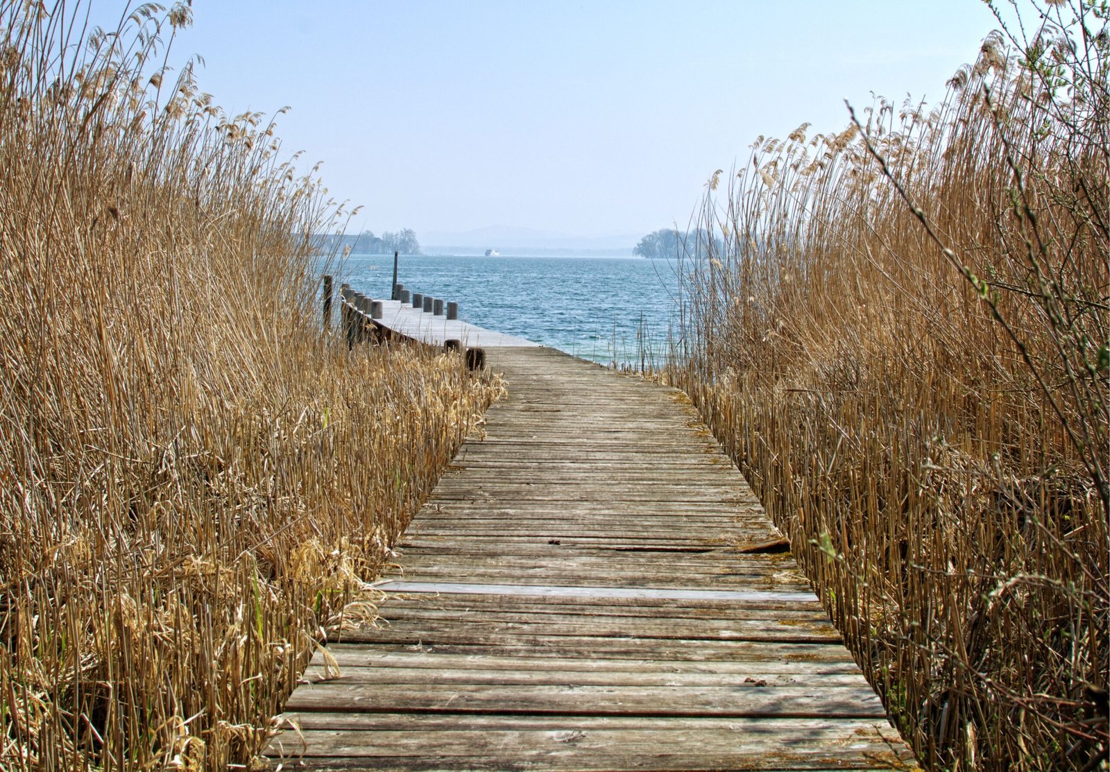 Stroll along the Solomons Island Boardwalk
