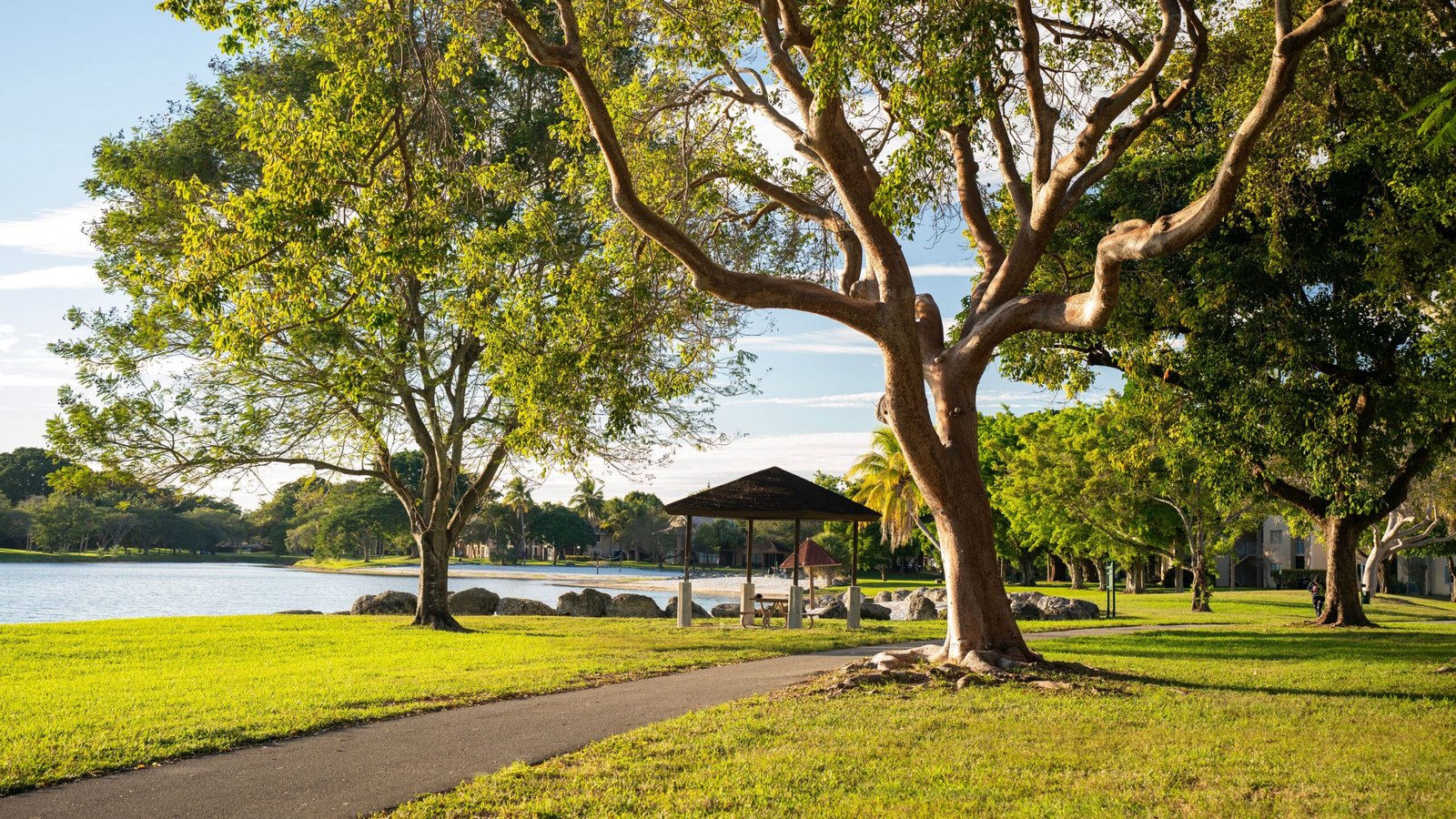 Spend a Day at Elmer Thomas Park