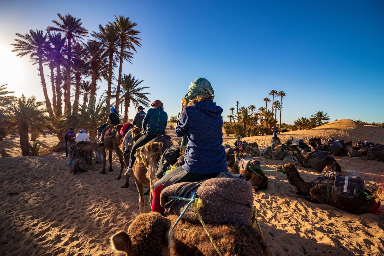 Take a Camel Ride Through the Dunes of Parque Natural de Corralejo
