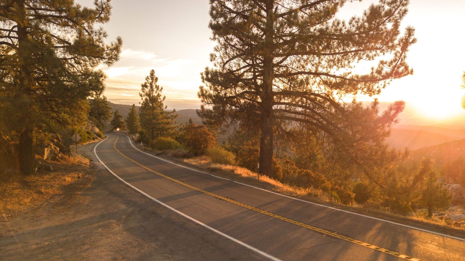 Take a Scenic Drive Along Resaca de la Palma State Park