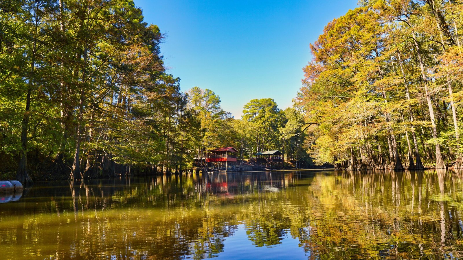 Take a guided tour of the Six Mile Cypress Slough