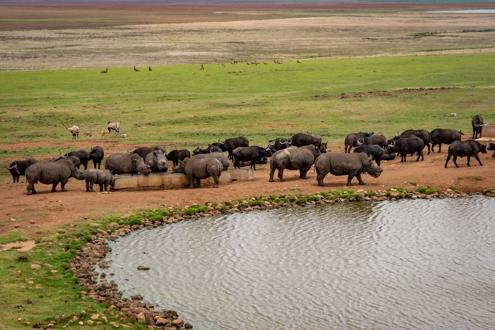 Take in the dramatic views from the top of Khama Rhino Sanctuary