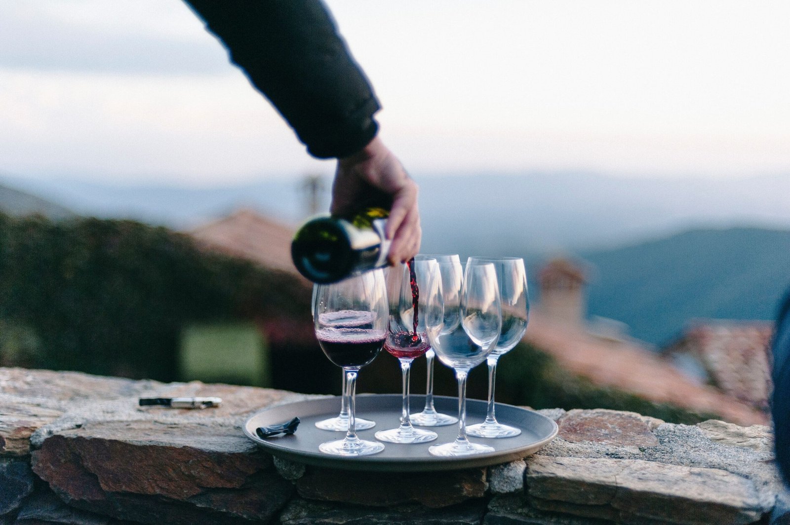 Go Wine Tasting at Local Wineries