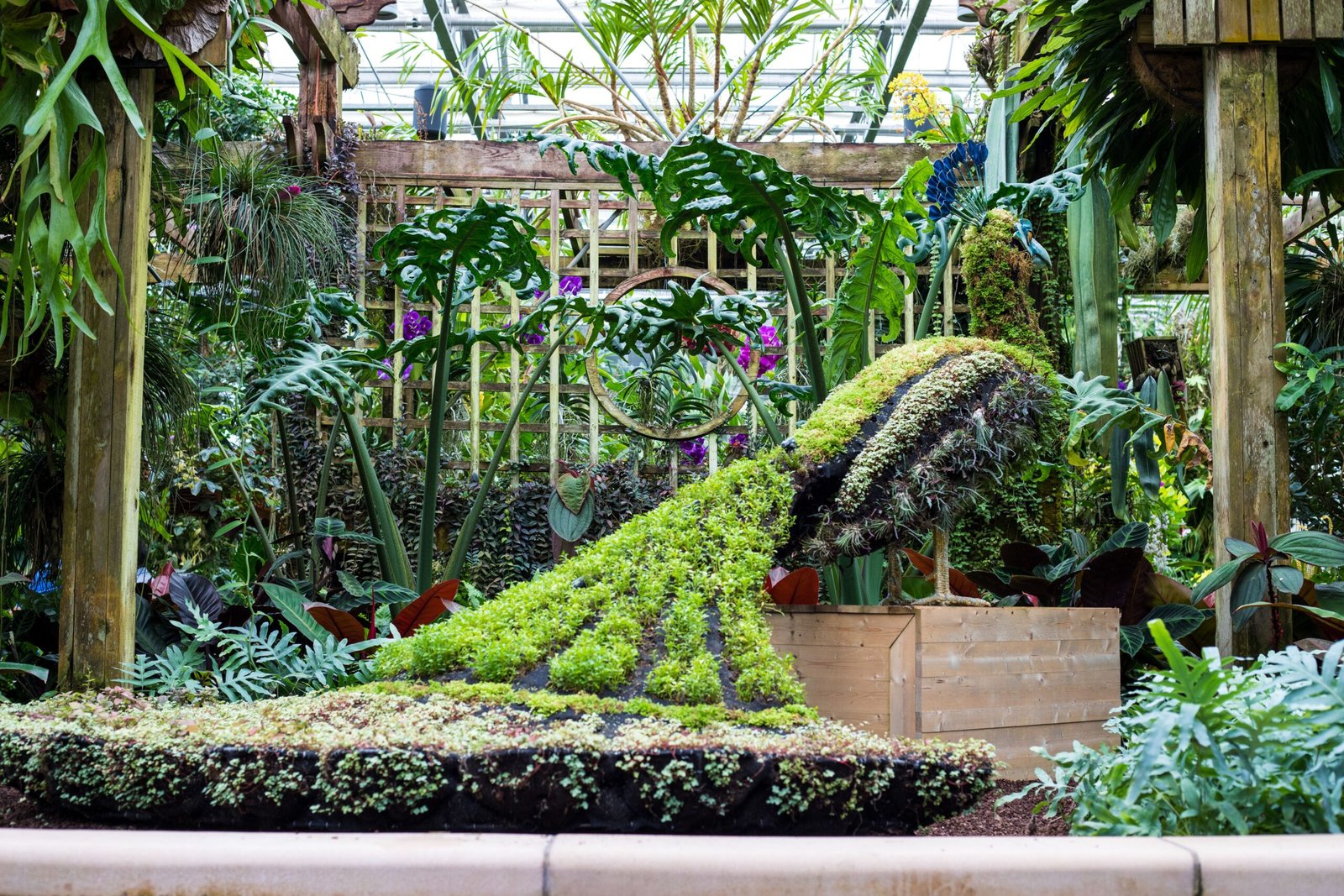 Wander Through the Springfield Botanical Gardens