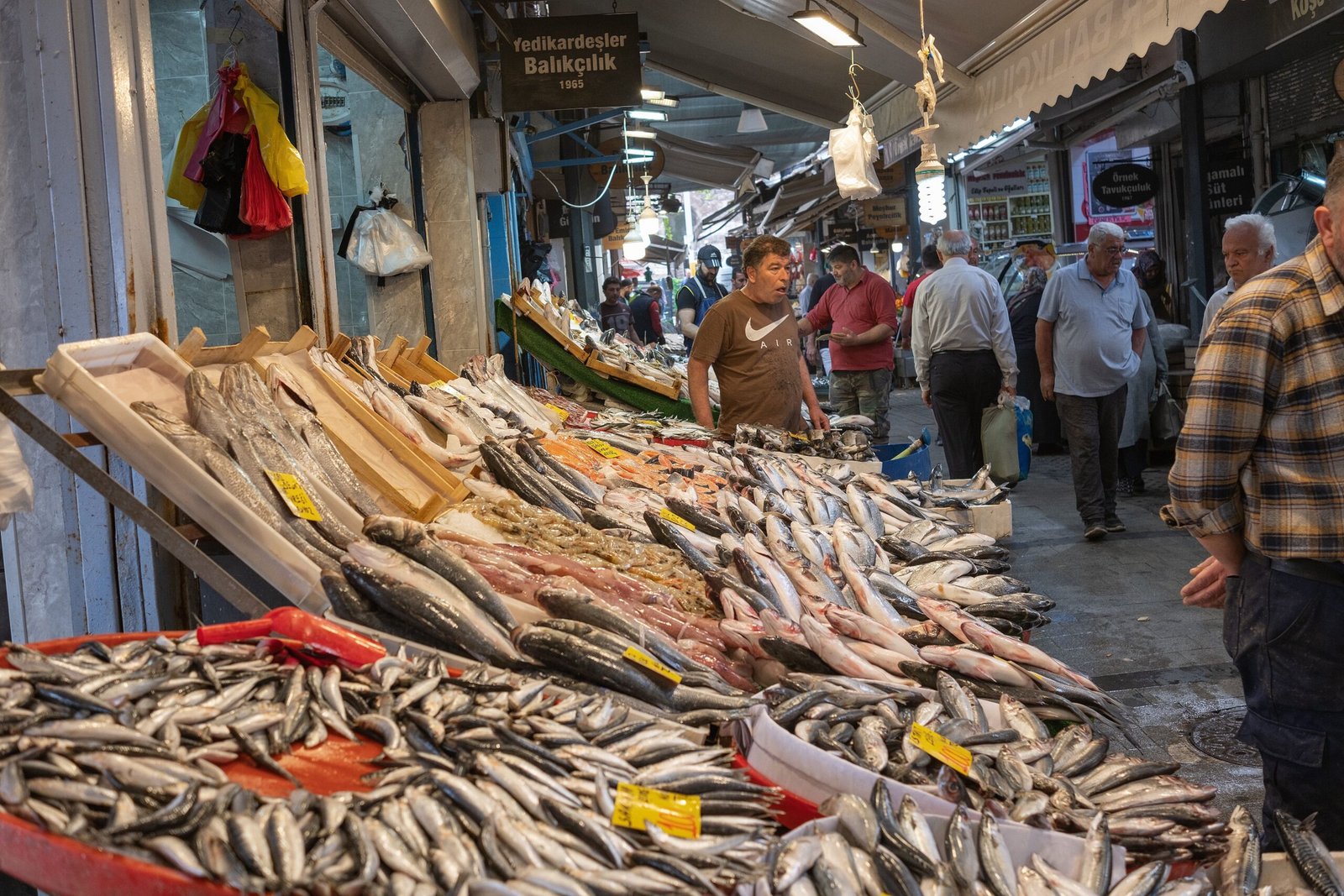 Visit Fish Creek Market