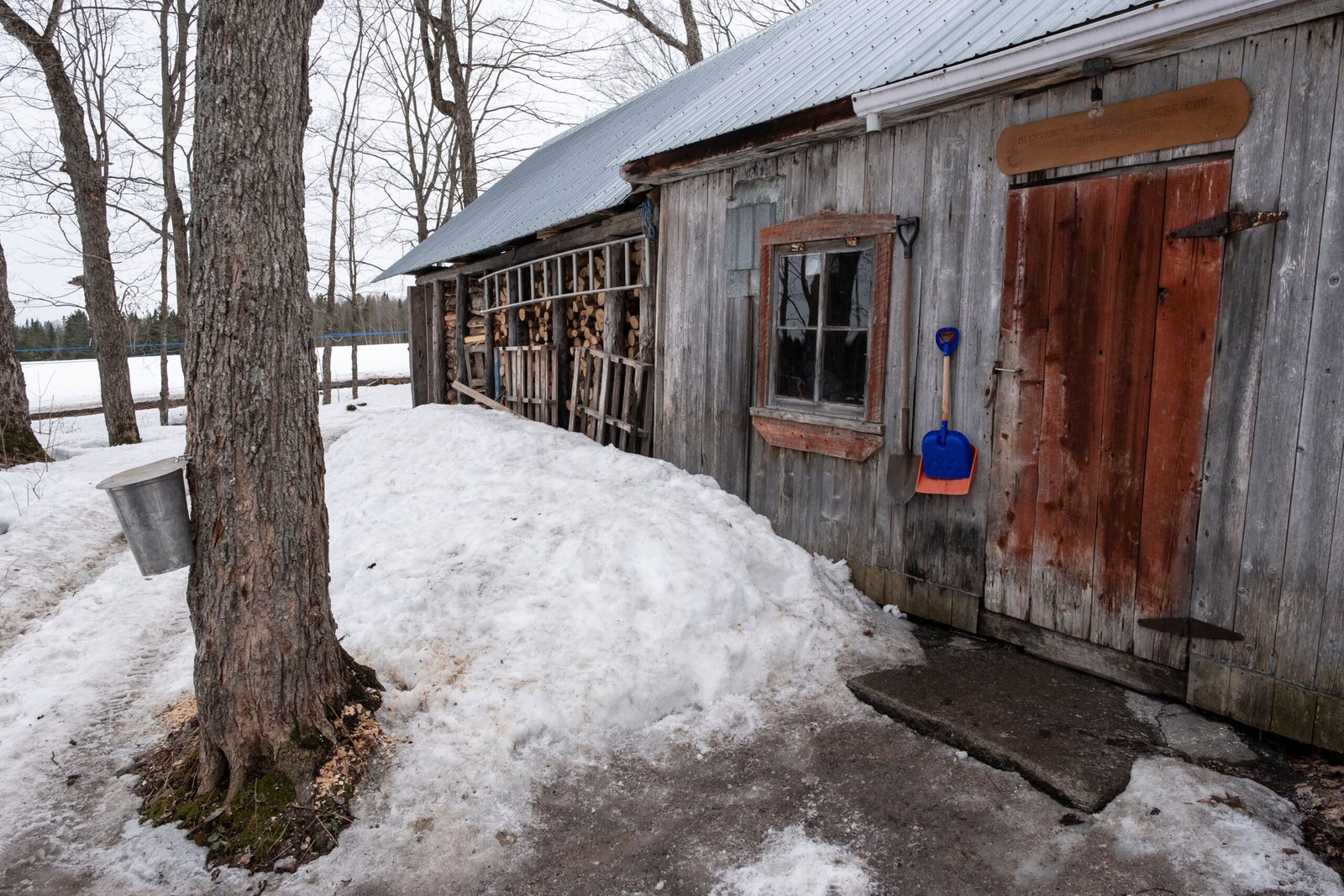 Visit Maple Grove Farm in Stowe for a family-friendly maple syrup experience