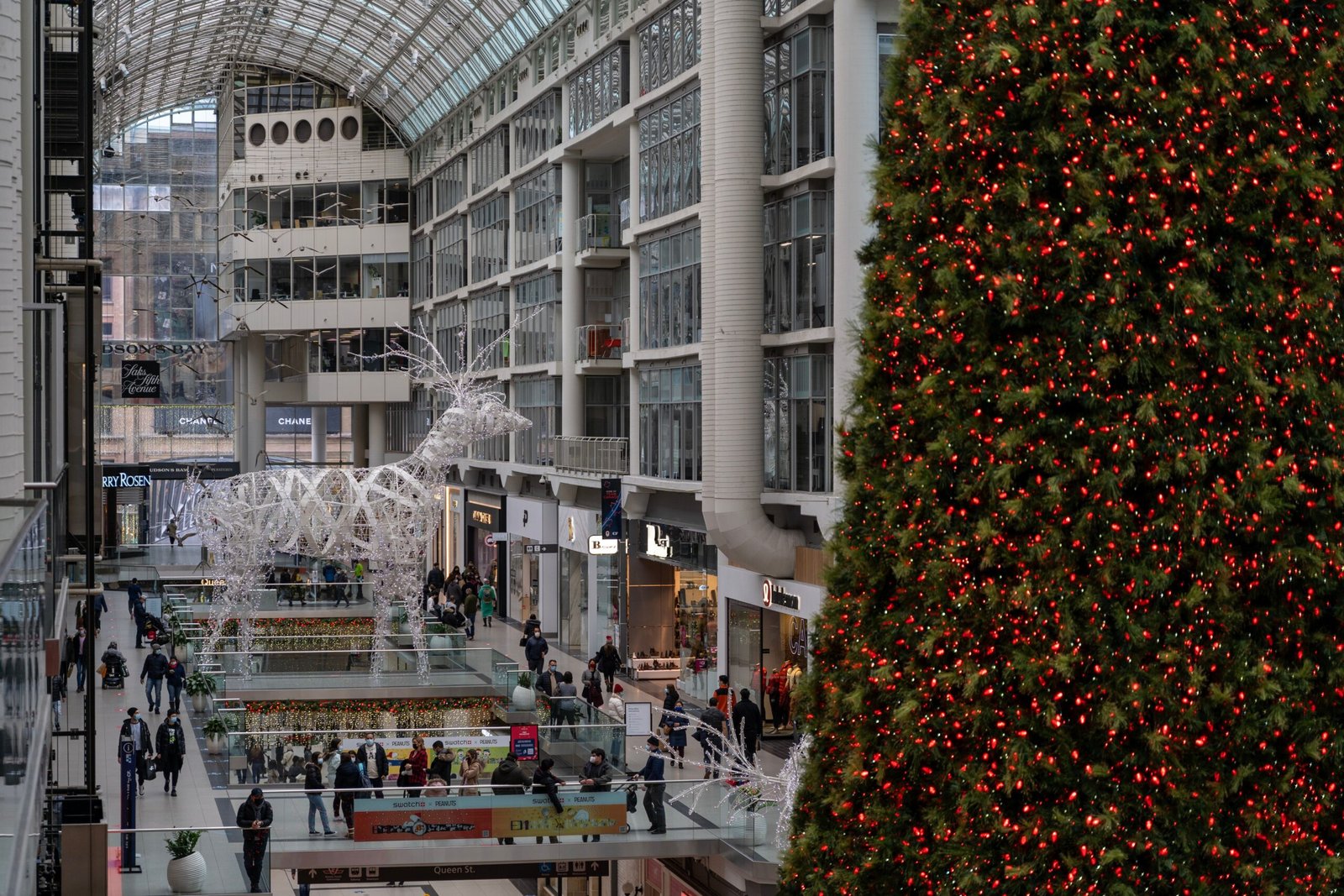 Go Shopping at the Fashion Show Mall