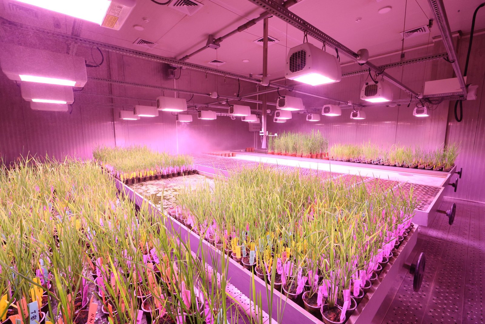 Visit the Ohio Agricultural Research and Development Center