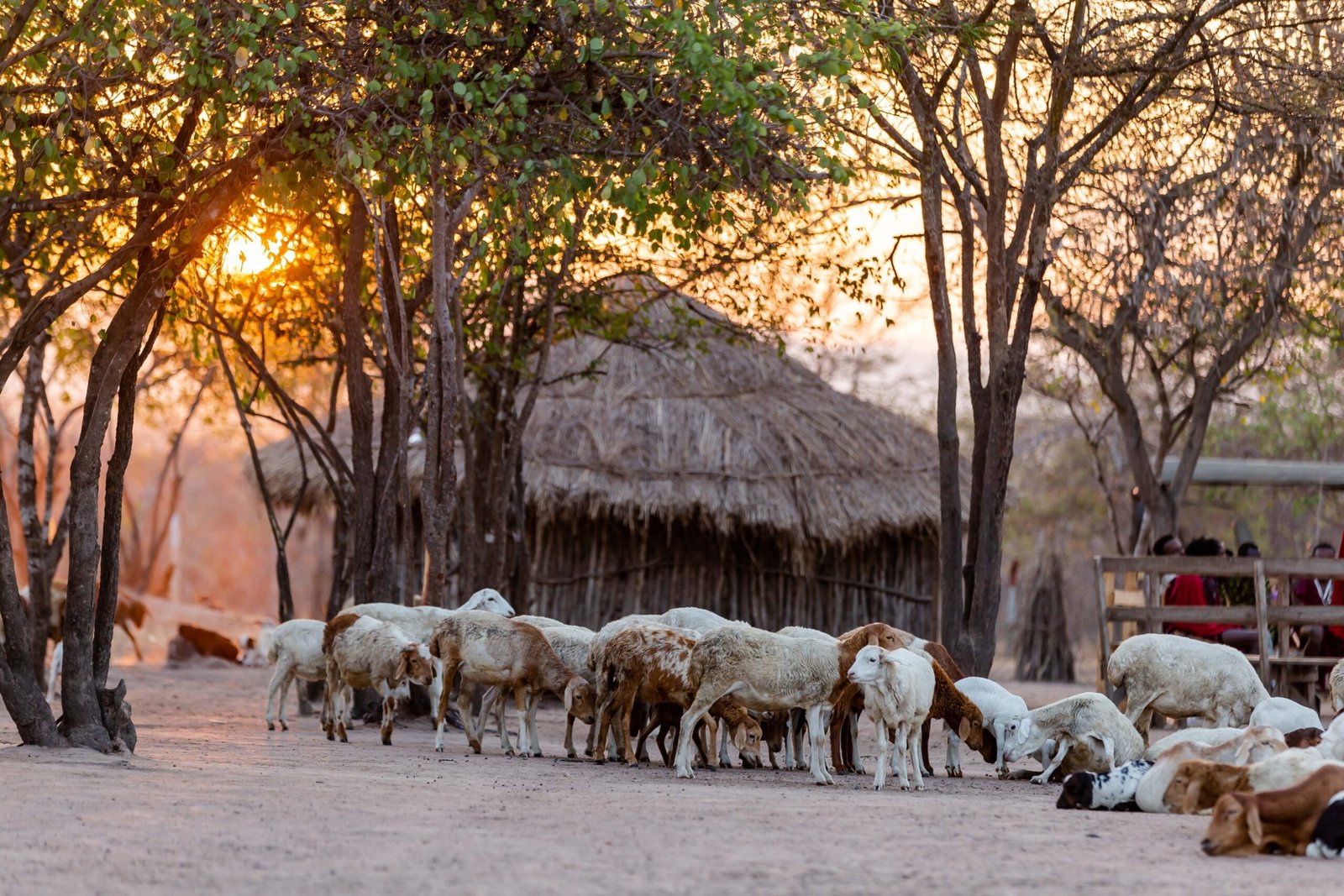 Visit the serene Serowe village and learn about local traditions