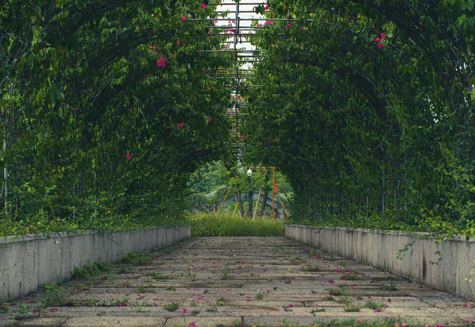Wander Through the Lush Gardens of the Kaohsiung Botanical Garden