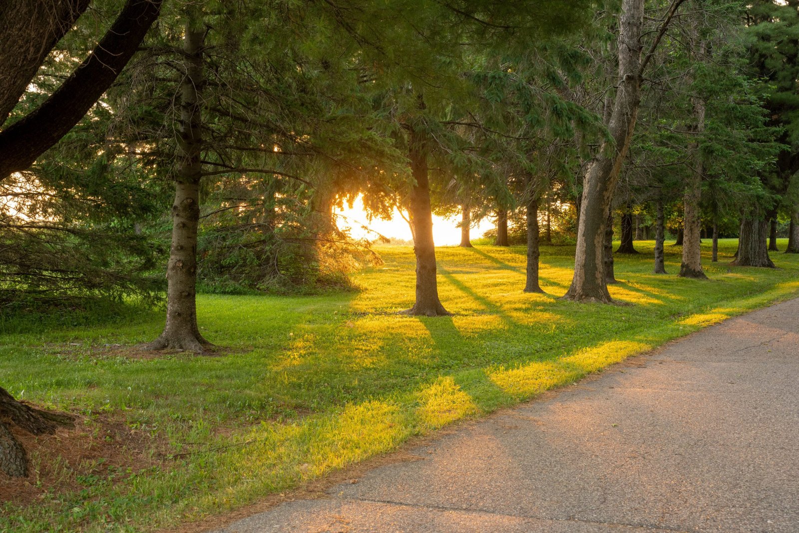 Explore the beautiful trails at Dakota Nature Park
