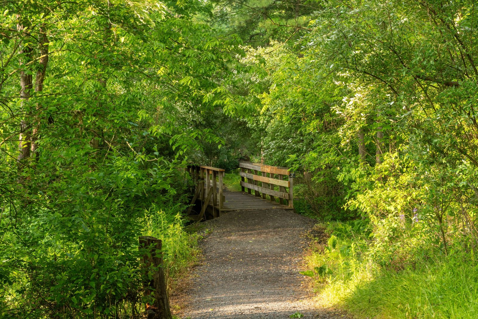 Hike the Trails at the Springfield Conservation Nature Center