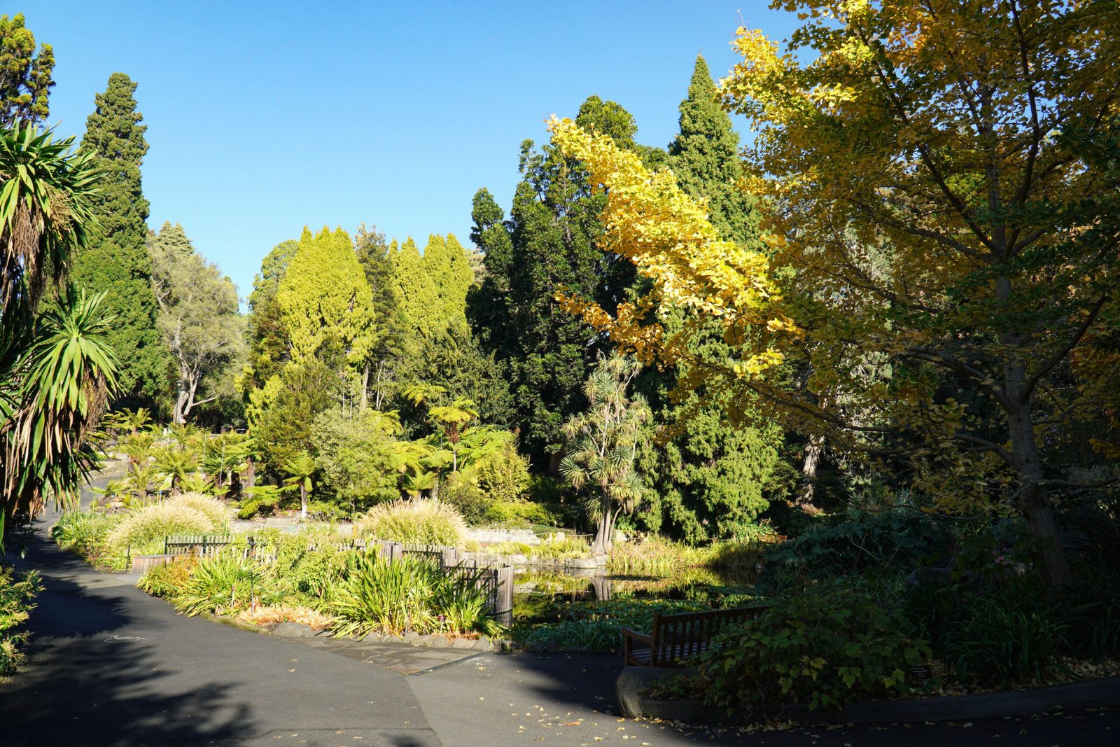 Stroll through the stunning Villa Borghese Gardens