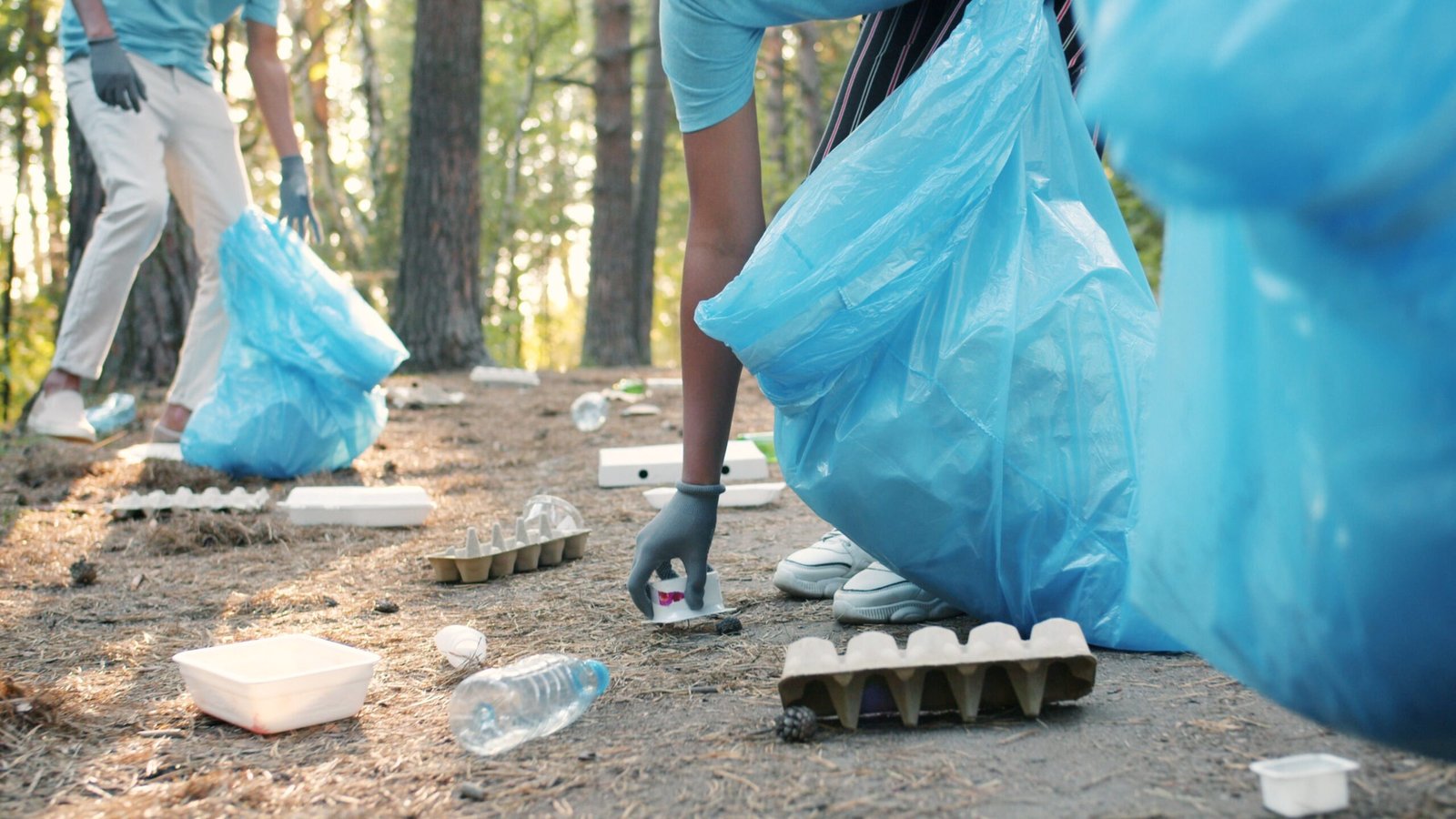 Take Part in an Environmental Conservation Project in the Area
