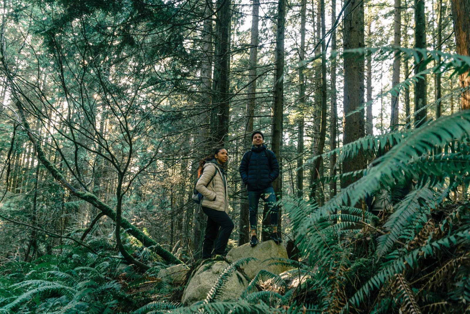Discover the Beauty of Nature at Pilchuck Tree Farm