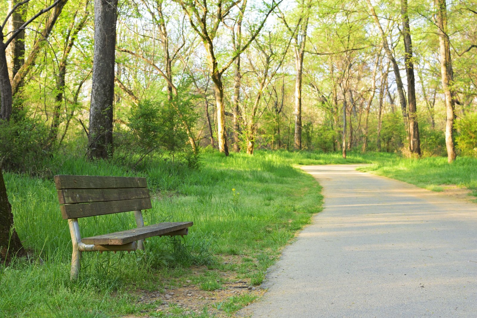 Take a Hike on the Trails of the Scenic Cathedral Caverns State Park