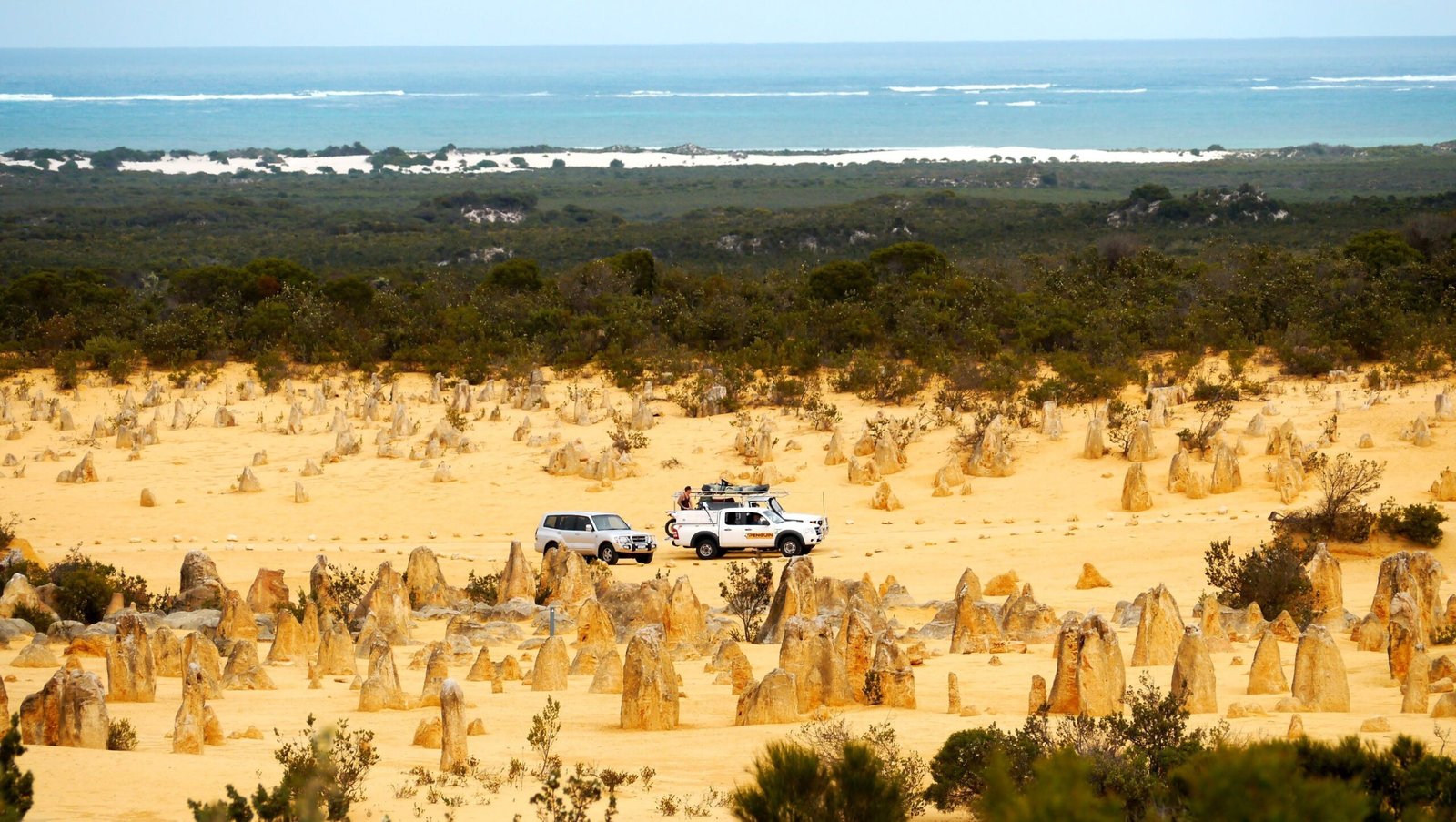 Enjoy the Stunning Views from the Pinnacles Desert