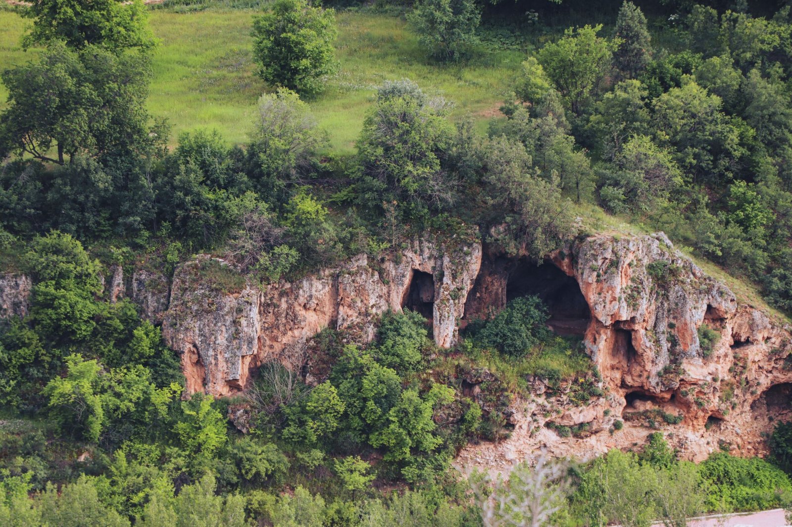 Experience the Beauty of Nature at the Sauta Cave National Wildlife Refuge