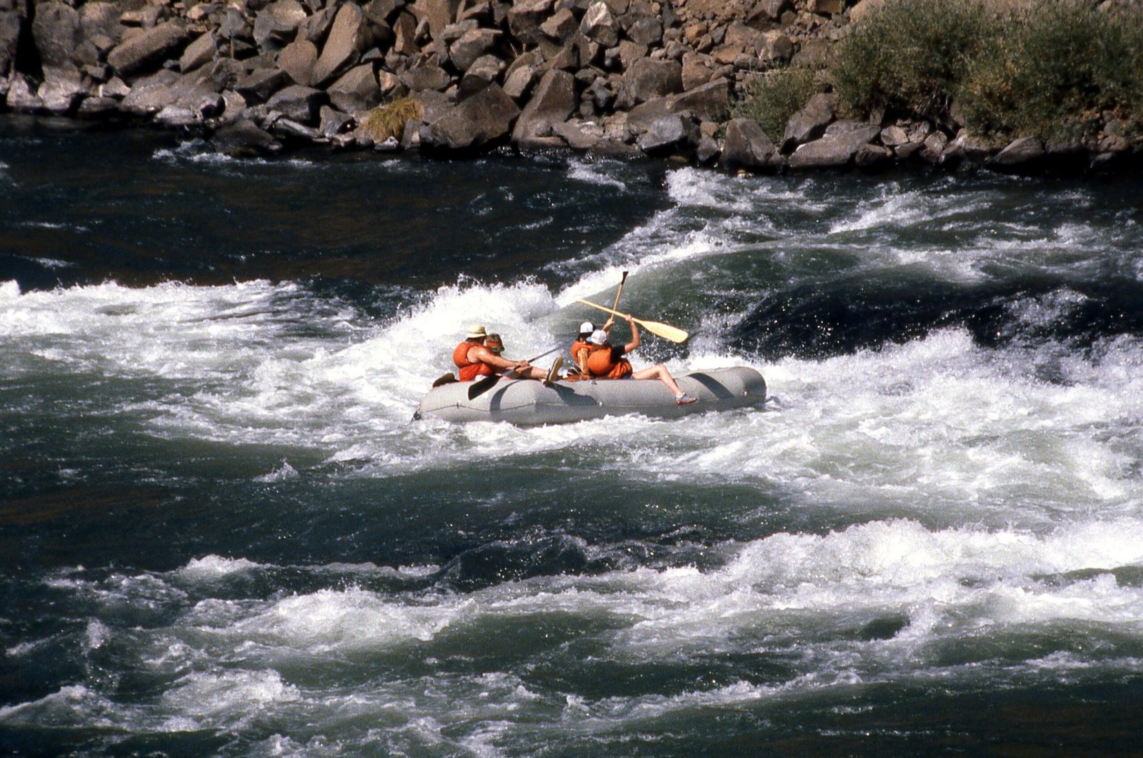 Experience the adrenaline rush of rafting on the Uncompahgre River