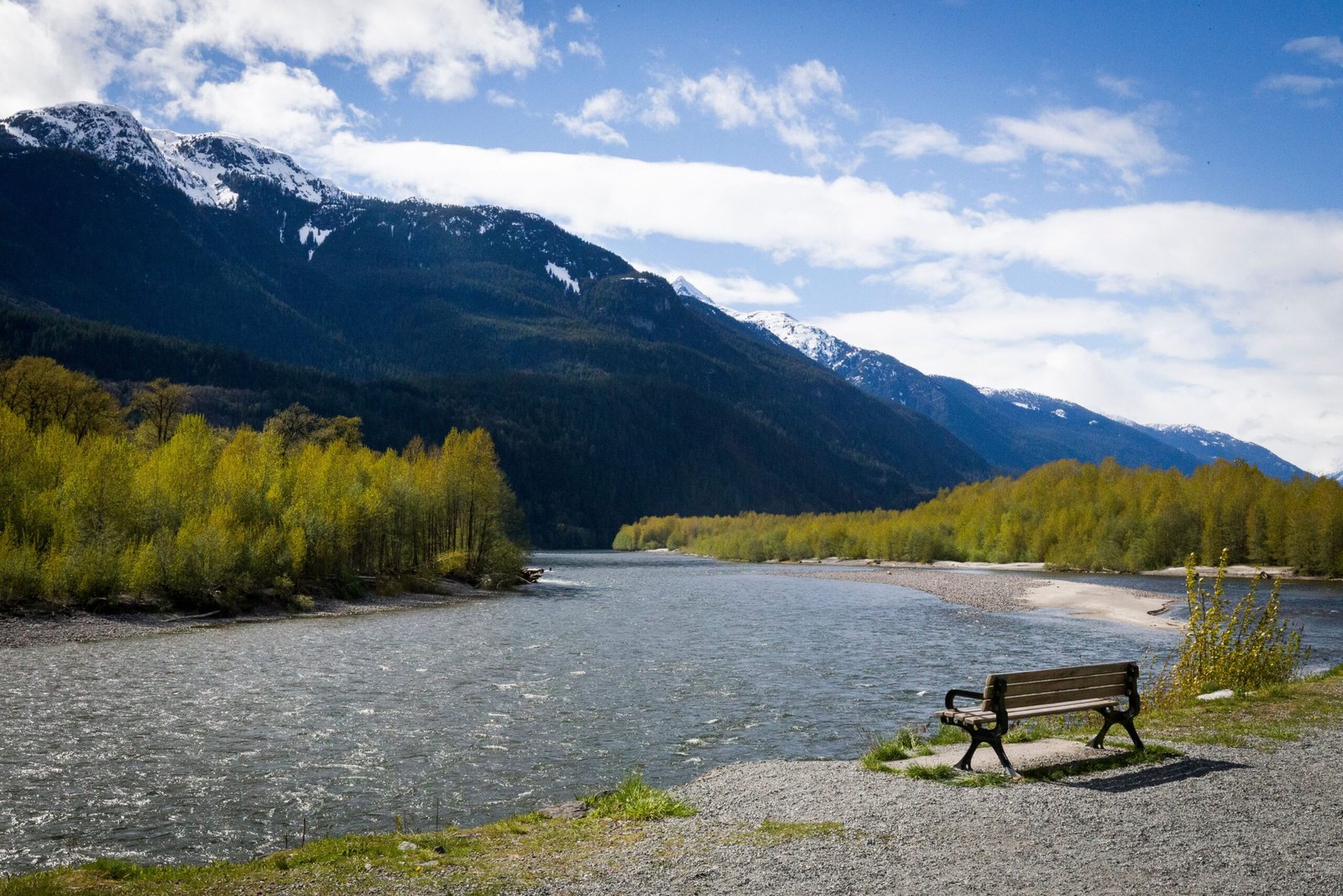 Explore the scenic Colorado River at the River Oasis Park