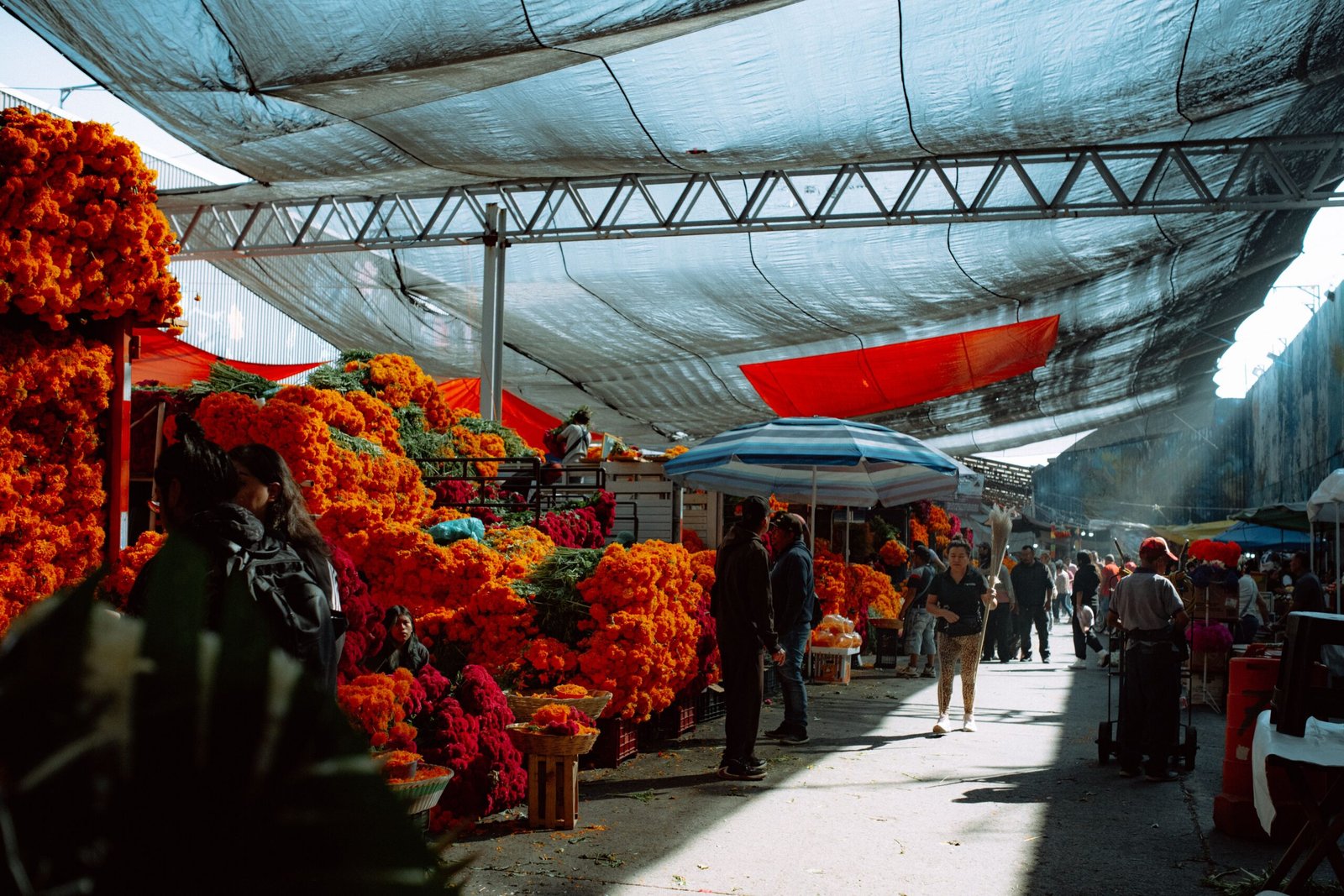 Explore the Colorful Markets at Mercado 20 de Noviembre